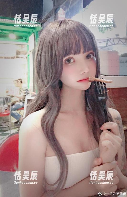 为了一千只猫薄禾的兔女郎写真，我的资源库又要升级了！