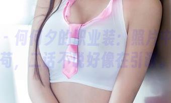 推女郎 - 何何夕的职业装：照片中一丝不苟，二话不说好像在引诱。