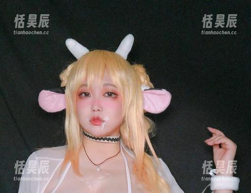 看到椒妮佐仁的在线图片，我想问：加贺的灵感在哪？